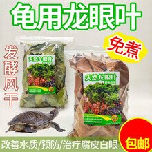 榄茵 龙眼叶养龟仿原生态腐皮改善水质乌龟缸环境造景龟用龙眼叶片绿色风干龙眼叶养乌龟遮挡叶 绿色30片+红色30片(混合装)