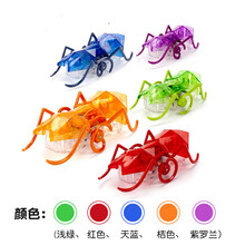 毛毛虫玩具电动赫宝机器虫遥控仿真蜘蛛蝎子摇摆宝宝儿童电动玩具机器人 仿生电动蚂蚁-超高速移动透明机身智能机电 单只颜色请备注(加购收藏送电池)