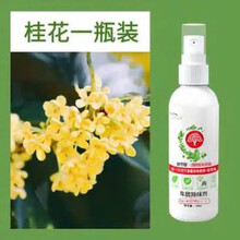 空气清新剂喷雾室内卧室持久留香汽车清香家用房间客厅芳香剂 桂花1瓶装