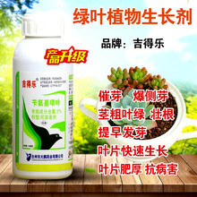 多肉植物爆芽素 爆侧芽细胞分裂素花草叶面肥爆头素催芽防落素包 1瓶x100毫升