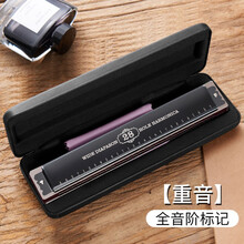 德国进口音簧天鹅28孔重音高级成人口琴专业演奏级二四孔复音C调初学者学生儿童自学乐器 【演奏级】音阶款28孔黑色重音+学习资料+电子视频