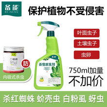 备能 花卉植物土壤杀虫剂家用花盆盆栽绿植杀虫花药花草多肉月季花杀虫喷雾除蚂蚁蚜虫蚧壳虫红蜘蛛杀虫喷剂 杀虫水乳剂750ml+小白药50g