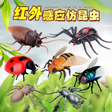 生日礼物抖音电动遥控昆虫蟑螂小蜜蜂蜘蛛遥控蛇玩具小动物瓢虫蝎子毛毛虫抖音同款 黑蜘蛛 正版授权