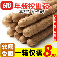 山药新鲜带箱5斤小白嘴铁杆铁棍淮山怀麻山药 非河南焦作温县垆土 带箱2.8斤