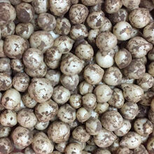 新鲜苦藠团葱农家小根蒜野葱头四川苦藠种苦茭头小蒜薤白500g 四川苦藠【小号】 5斤