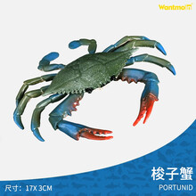 玩模乐儿童玩具仿真锦鱼海洋动物模型鱿鱼海狮章鱼螃蟹飞鱼食人鱼小丑鱼 梭子蟹