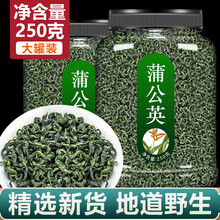 长白山蒲公英茶500g女性通新鲜特级野生婆婆丁茶浦公英干整根 【1罐】蒲公英(共250g)