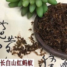 中药材 泡酒料 长白山 红蚂蚁 红蚂蚁干100g 红蚂蚁250g
