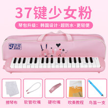 口风琴37键32键小学生用初学者课堂口风琴幼儿童演奏吹管乐器 【中级】【卡通皮包粉37建】教材+吹管+鸟笛