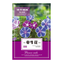 清荷蝴蝶 牵牛花种子 羽叶茑萝种子羽叶茑萝花种子庭院爬藤植物五角星花盆栽阳台四季易种活开花不断 牵牛花种子 5克 约百粒 原包装