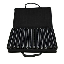 TOMBO日本通宝6624P纯音口琴24孔复音高档口琴成人初学儿童入门款 12调套装