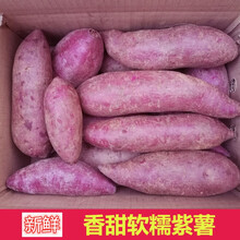 农家紫薯新鲜现货地瓜紫紫心紫薯农家自种5斤 中果