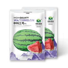 中科茂华瓜果种子中科三号西瓜种子免整枝打叉大果型15-30斤大红瓤懒汉管理10克