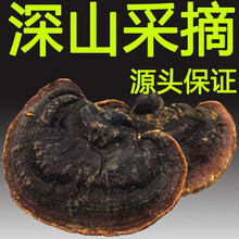 【源头保正】山滋情 野生无柄赤芝 无柄灵芝 赤灵芝250克干品 切片