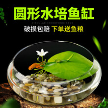 绿伴 桌面小鱼缸迷你小型鱼缸办公室创意圆形玻璃缸微型斗鱼缸金鱼缸 大号【一叶莲+玻璃缸+雨花石】
