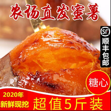 （顺丰直发）山东现挖新鲜红心蜜薯沙地流油糖地瓜超甜红薯中大果5斤番烟薯25号中大果