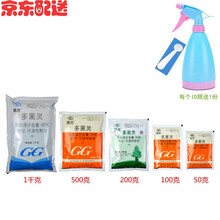 国光植物杀菌剂多菌灵花卉杀虫剂花药月季黑斑病百菌清观叶植物黄叶枯叶烂根多菌灵溶液 植物除虫杀菌 100g