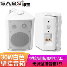 绅宝 (sabo) 壁挂音箱 室内挂壁喇叭 广播会议室功放音响 咖啡厅超市店铺壁挂式无源音响 30W白色无源壁挂音箱(1只)