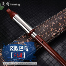 巴乌胶木树脂竖吹仿红木C调B调G调F调小学生成人初学横吹巴乌 竖吹 F调  巴乌