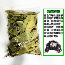 榄茵 龙眼叶养龟仿原生态改善水质腐皮应激疾病环境发酵红色龙眼叶绿色风干龙眼叶养乌龟遮挡叶 绿色风干龙眼叶30片【体验装】