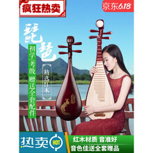 琵琶乐器初学入门儿童成人初学者专业演奏红木琵琶配件考级 儿童经典款【全套配件+终身维修】素面