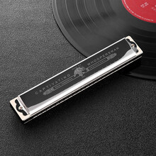 德国进口音簧天鹅口琴24孔高级成人儿童入门初学者学生C调复音专业演奏级口琴 银色【音标款】+全套赠品