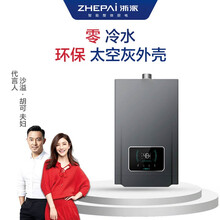 浙派（ZHEPΛi）13A17T-Z 13L零冷水燃气热水器 变频增压恒温科技13升 液化气