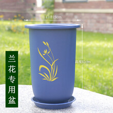 景媚 加厚仿紫砂塑料花盆 兰花盆君子兰盆蝴蝶兰盆 高筒兰花花盆君子兰花盆蝴蝶兰花盆 多色可选 深蓝色大号【含托盘】