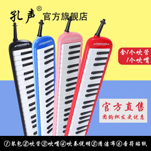 孔声口风琴37键32键初学者学校男女学生用课堂教学乐器儿童吹管乐器 KS-37A粉色