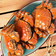 【活蟹】鲜木 盘锦河蟹稻田蟹现货公母公5只母5只蟹鲜活螃蟹缺重包赔 下单预定 六月黄3斤小号0.5-0.8两/只