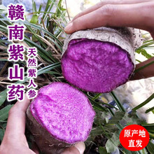 当季现挖紫山药新鲜5斤脚板薯紫玉淮山赣州紫色毛薯新货