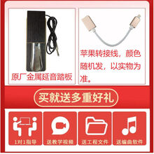 worlde-PANDAmini25键midi键盘打击垫音乐编曲键盘电音迷笛控制器 原厂金属延音踏板+苹果转接线(不含键盘)