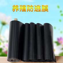 螃蟹大闸蟹甲鱼小龙虾养殖防跑防逃膜黑色防逃板塑料围板防水渗膜 防逃膜60公分28丝全熟料