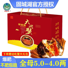 【活蟹现货】必有重蟹清水大闸蟹固城湖鲜活螃蟹特大全母全公河蟹毛蟹六月黄大蟹生鲜海鲜水产中秋礼盒装现货 【礼盒】全母蟹2.1-1.8两12只