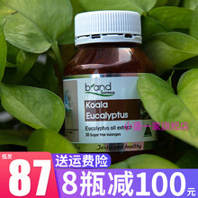 【官方旗舰】布兰德尤加利考拉肺清片澳洲人的肺部清道夫brand澳大利亚考拉片肺清片 1瓶装