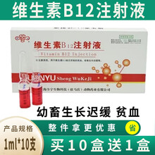 兽药维生素b12注射液兽用猪牛羊马宠物维生素缺乏症贫血幼畜生长迟缓VB12 1ml*10支 10盒价（配砂轮和注射器）