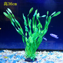 鱼缸里的仿真水草鱼缸海草活的鱼缸里放的鱼草鱼缸内水生植物水下 中号36cm高海带草