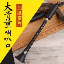 巴乌竖吹大音量巴乌乐器/调单管乐器 G调+包+指法表+入门教学书