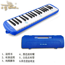 天鹅口风琴全乐理37键学生练习教学比赛儿童成人口吹琴专业乐器琴 37键口风琴蓝色（塑盒）+全套赠品