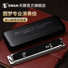 天鹅追梦人口琴进口音簧高级成人24孔初学者复音C调儿童专业演奏级 黑色复音C调【适合初学演奏】 24孔