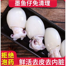 6斤鲜活墨鱼仔冷冻海兔子满籽墨鱼新鲜籽乌海鲜小墨鱼笔管鱼乌贼1-6斤可选 中号【14-18只/斤】 6斤()