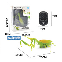生日礼物抖音电动遥控昆虫蟑螂小蜜蜂蜘蛛遥控蛇玩具小动物瓢虫蝎子毛毛虫抖音同款 螳螂 正版授权
