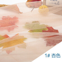 30眼软网纱 加密网底布 蚊帐网纱布布料 六角网眼布 蓬蓬裙面料7XD 此款商品不支持7天无理由 1#杏色（1.6米宽） 2米价