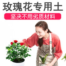 玫瑰营养土 商品搜索 京东