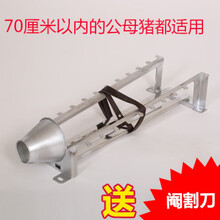 七六牧业阉割架小猪 阉割器不锈钢仔猪用阉猪器阉割刀工具养猪设备 阉猪架 座地式不锈钢阉猪器