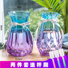 客厅北欧水培玻璃花瓶透明花器百合富贵竹满天星干花小插花瓶摆件 【两件套】18南瓜蓝紫+18钻石蓝紫 中等