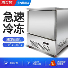 喜莱盛 速冻柜冰柜商用四六门插盘柜海参水饺包子面团急冻零下-40度低温小冷 5盘速冻柜