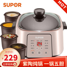 苏泊尔（SUPOR）电炖锅 电炖盅 隔水汤锅炖汤锅 紫陶炖锅 一锅五胆隔水炖 酒酿养生锅 2.5L DZ25YC868