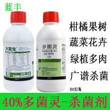 蓝丰 40%多菌灵杀菌剂 多菌菌灵通用花药百菌淸多箘灵多肉植物花卉除菌花卉月季果树大田广谱杀菌剂 500克/瓶*1瓶