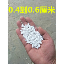 白色小石子庭院大鹅卵石阳台花盆装饰多肉铺面白石头雨花石铺路石 白色0.4-0.6厘米一斤